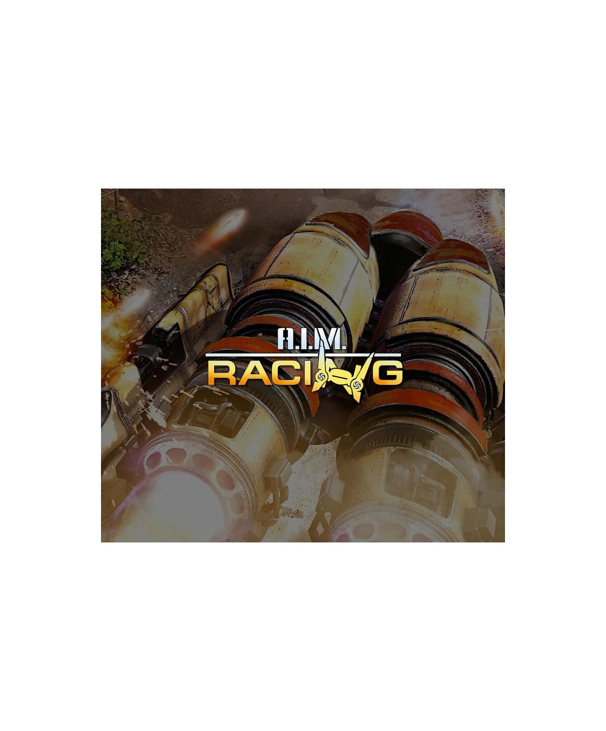 A.I.M. Racing PL Steam Key EUROPE